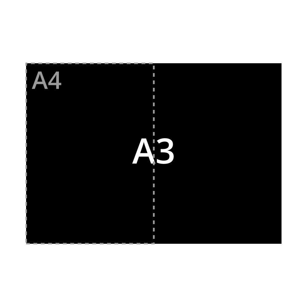 A3